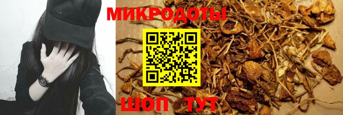 даркнет сайт  Вход с VPN  Чебоксары  Псилоцибиновые грибы GOLDEN TEACHER 